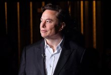 Elon Musk Accepts Georges St-Pierre's Offer to Train Him for Proposed UFC Fight with Mark Zuckerberg