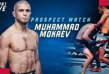 Prospect Watch: Muhammad Mokaev