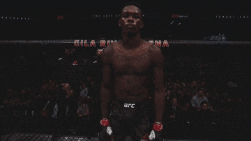 The Best MMA Moment of 2019 - MMADive