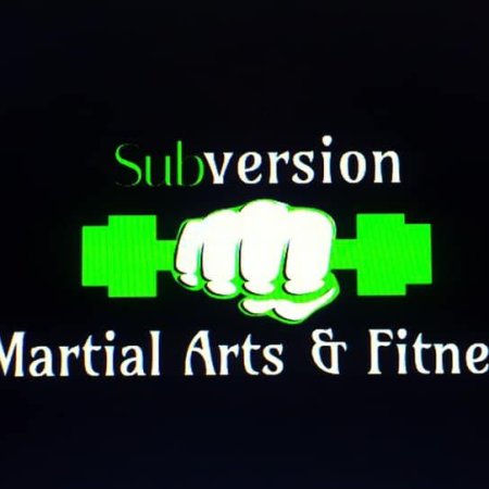 Subversion Martial Arts & Fitness